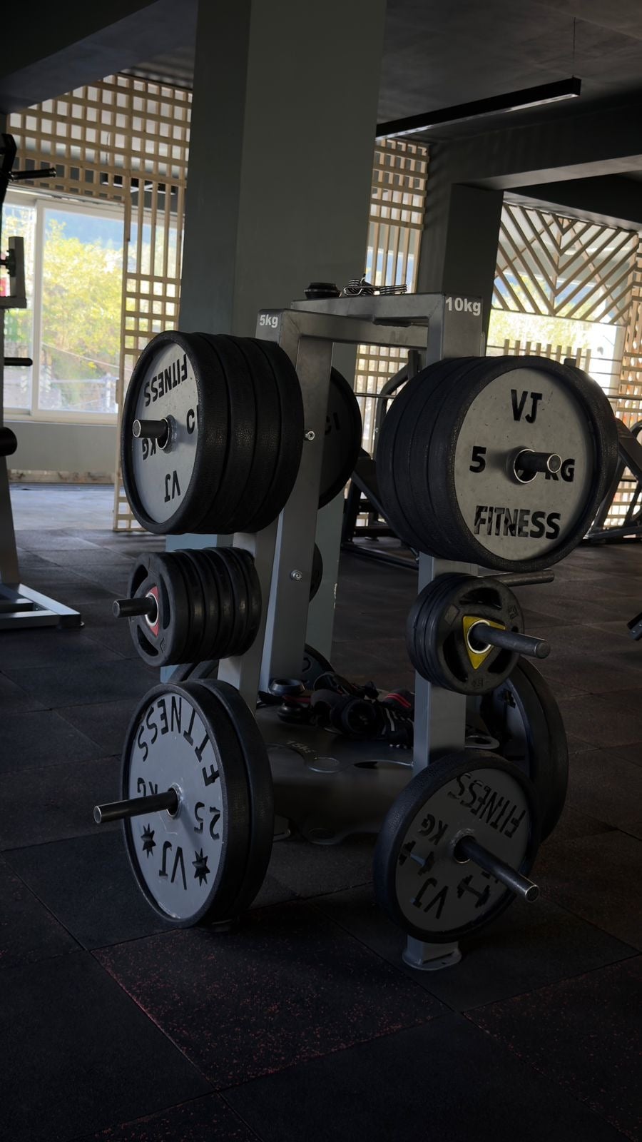 VJ Fitness equipment
